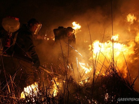 Создание и деятельность добровольной пожарной охраны
